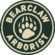 Bearclaw Arborist