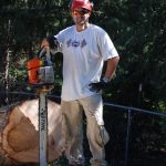 Bearclaw Arborist